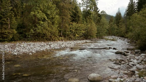 Serene water river stream flowing amidst green woods in the countryside of Serock town photo