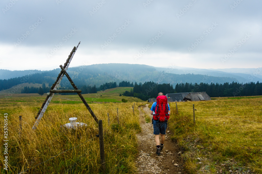 Wanderer auf Wanderweg, Feldberg, Schwarzwald, Deutschland
