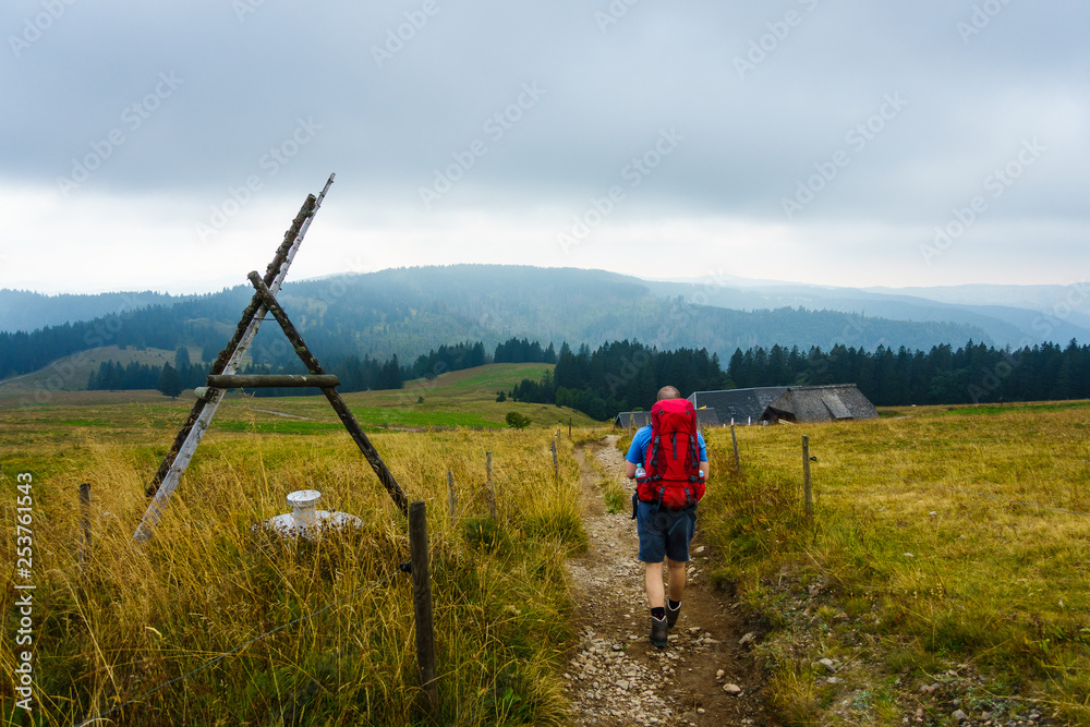 Wanderer auf Wanderweg, Feldberg, Schwarzwald, Deutschland Wanderer auf Wanderweg, Feldberg, Schwarzwald, Deutschland
