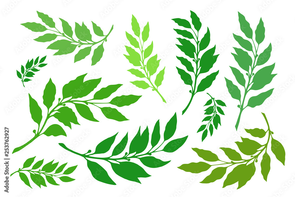 Laurel branches element leaf illustration set vector Laurel branches element leaf illustration set vector