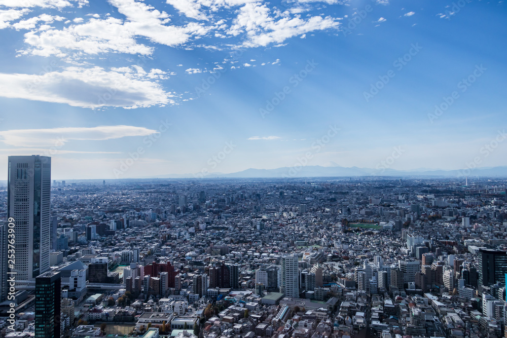 新宿高層ビルから見る東京の景色
