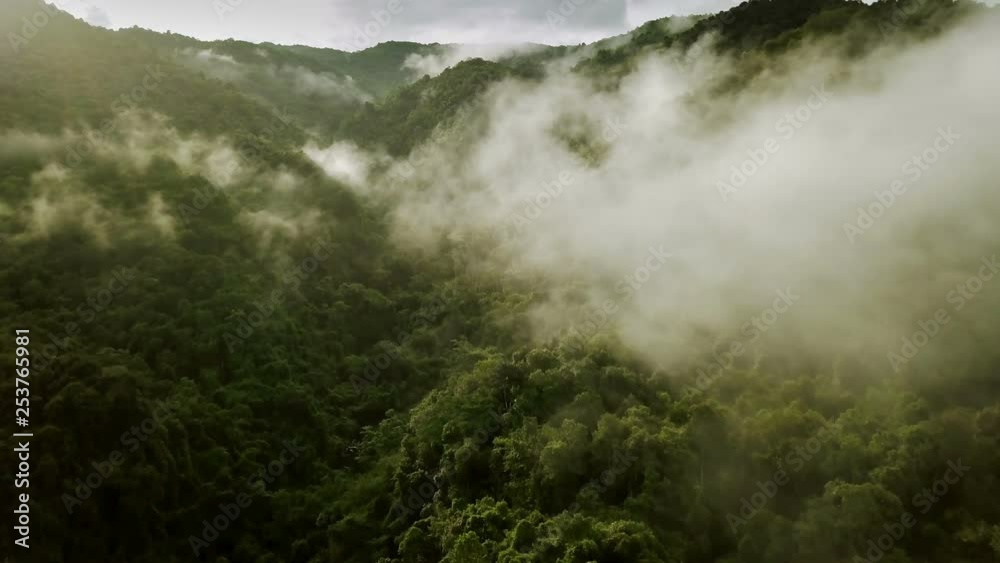 Aerial view flying above lush green tropical rain forest mountain with rain cloud cover during the rainy season on the Doi Phuka Mountain reserved national park the northern Thailand Aerial view flying above lush green tropical rain forest mountain with rain cloud cover during the rainy season on the Doi Phuka Mountain reserved national park the northern Thailand