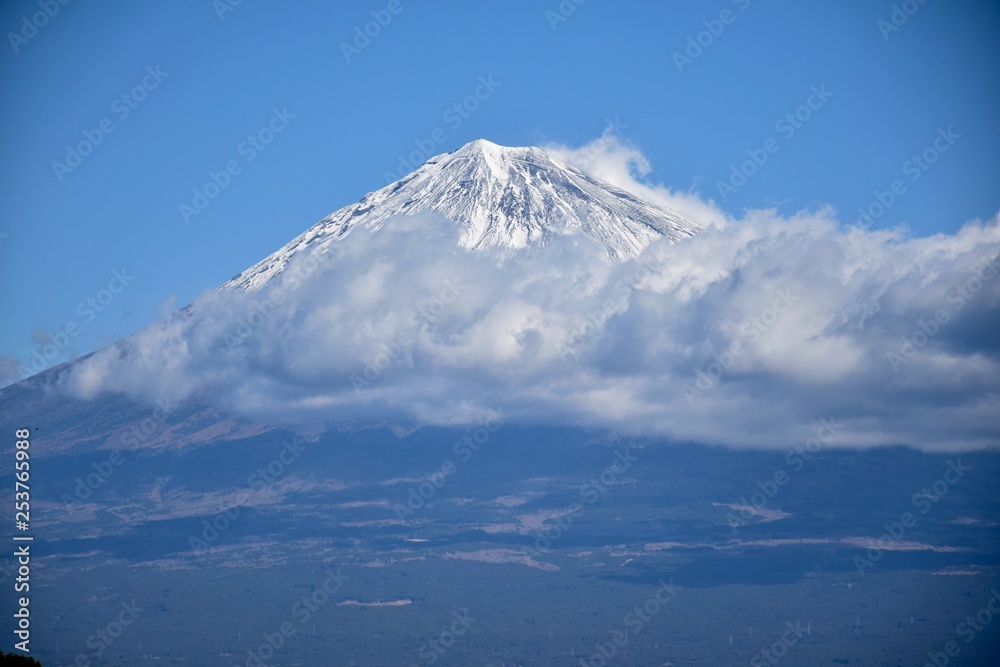 初春~Early spring. 初春~Early spring.