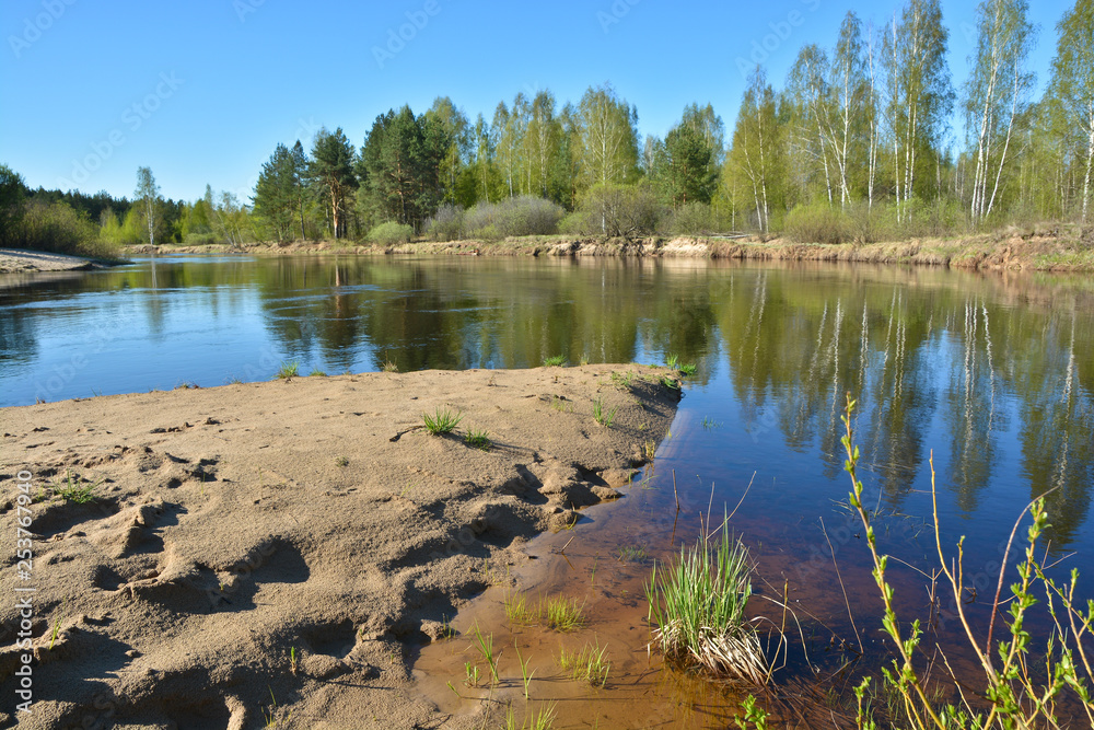 Spring. The river in the national Park Spring. The river in the national Park