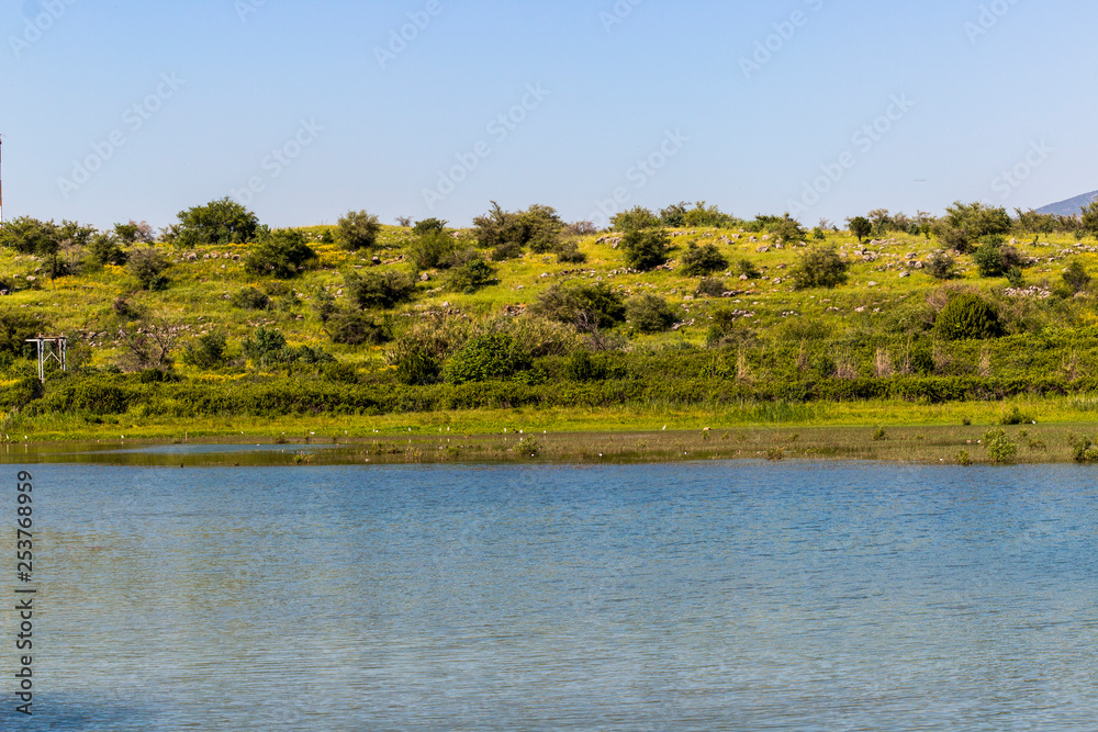 River in the Golan Heights in Israel