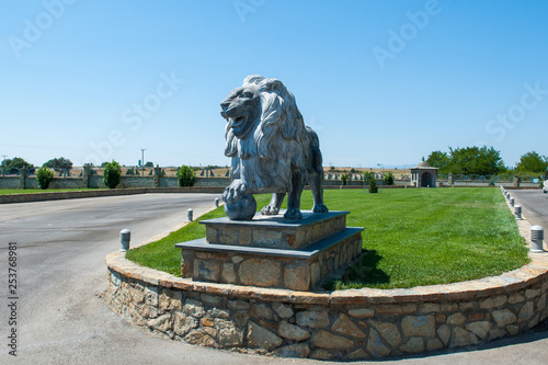 lion statue, a lone lion on the lawn