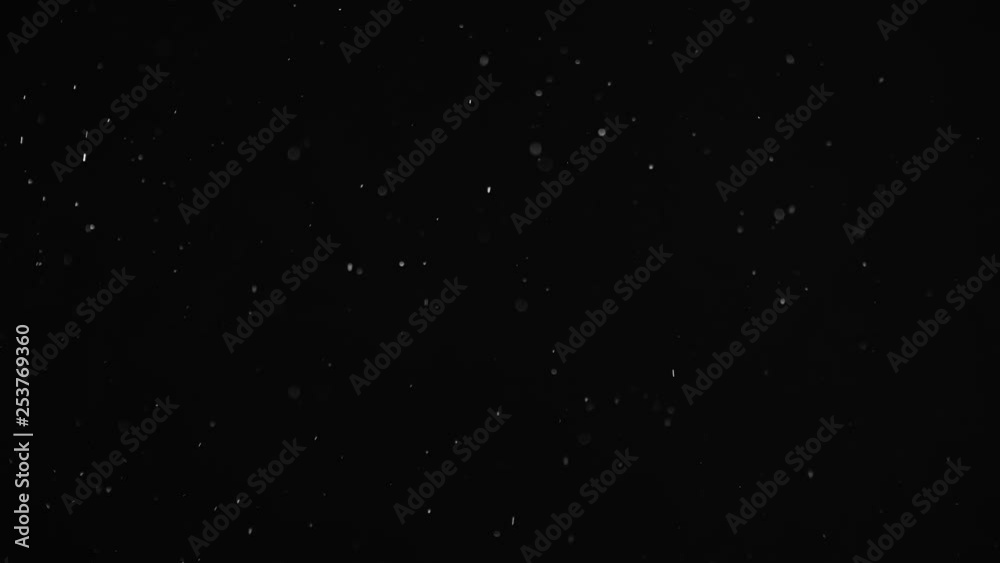 Natural Organic Dust Particles Floating On Black Background. Dynamic Dust Particles Randomly Float In Space With Fast And Slow Motion. Shimmering Glittering White Particles With Bokeh In The Air. Natural Organic Dust Particles Floating On Black Background. Dynamic Dust Particles Randomly Float In Space With Fast And Slow Motion. Shimmering Glittering White Particles With Bokeh In The Air.