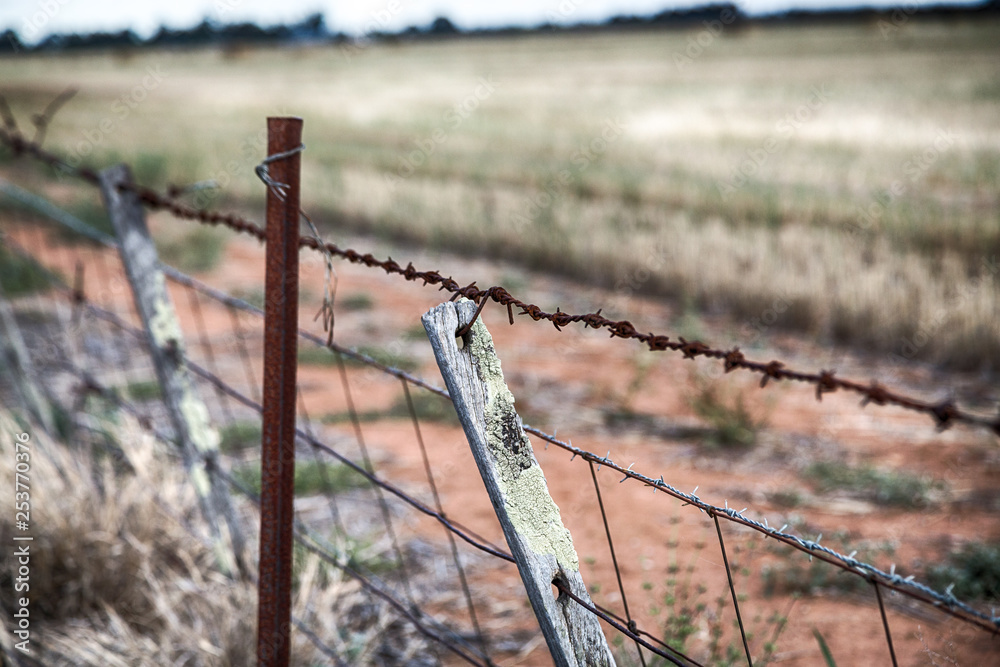 Fototapeta premium A barbed wire fence and old wood fence posts on an outback Australian farm during a drought.