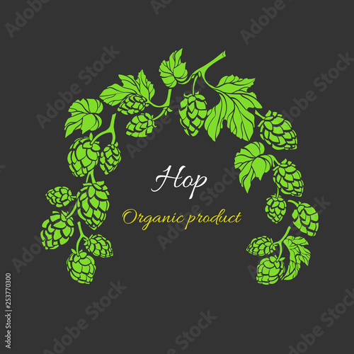 Vector template. Hop branch. Natural drink, beer. Bio frame, herbal pattern.