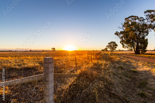 A dirt road through farmland at sunset on a blue sky day. Central Victoria. photo