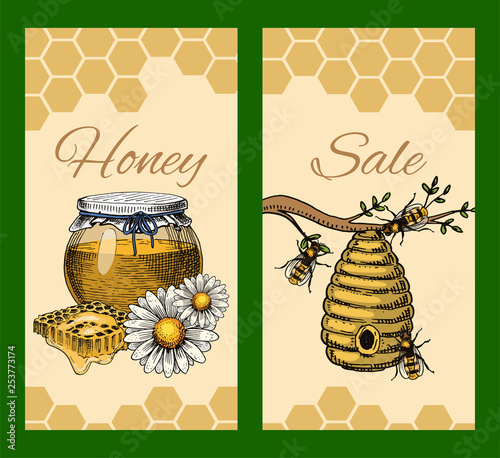 Honey waxing bee and beehive sale flyer. Poster organic honey and apiary, beehive and chamomile dessert nutrition vector illustration.