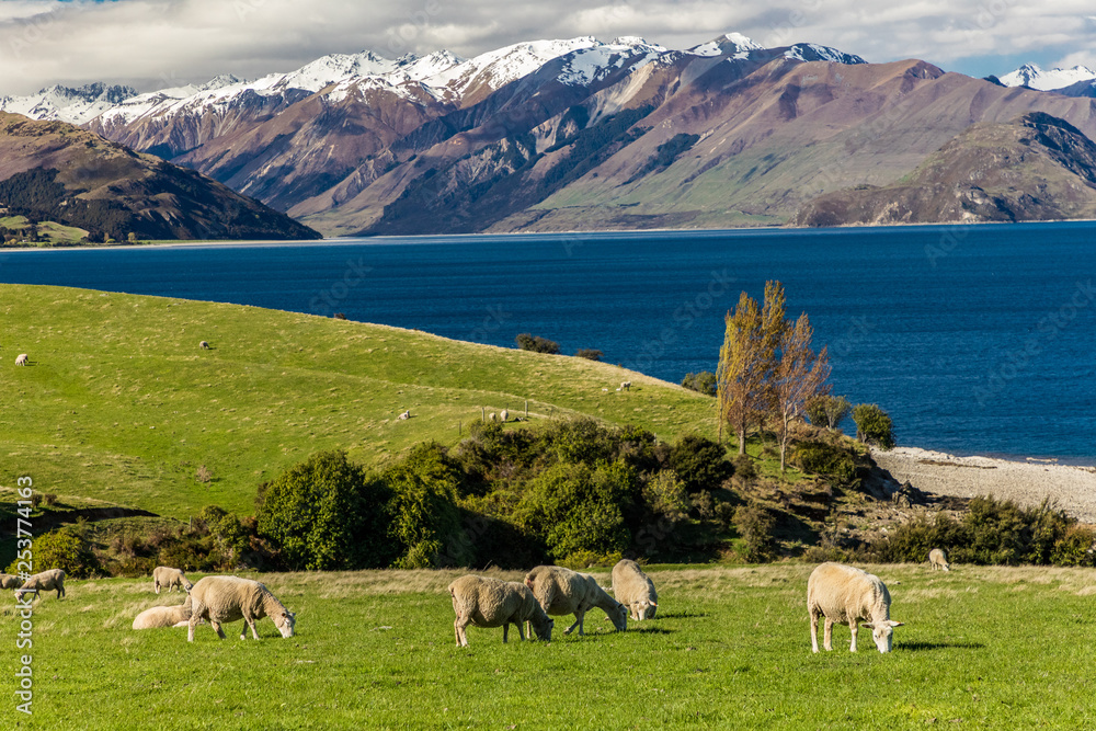 Obraz premium Panoramic photos of Lake Hawea and mountains, South Island, New Zealand