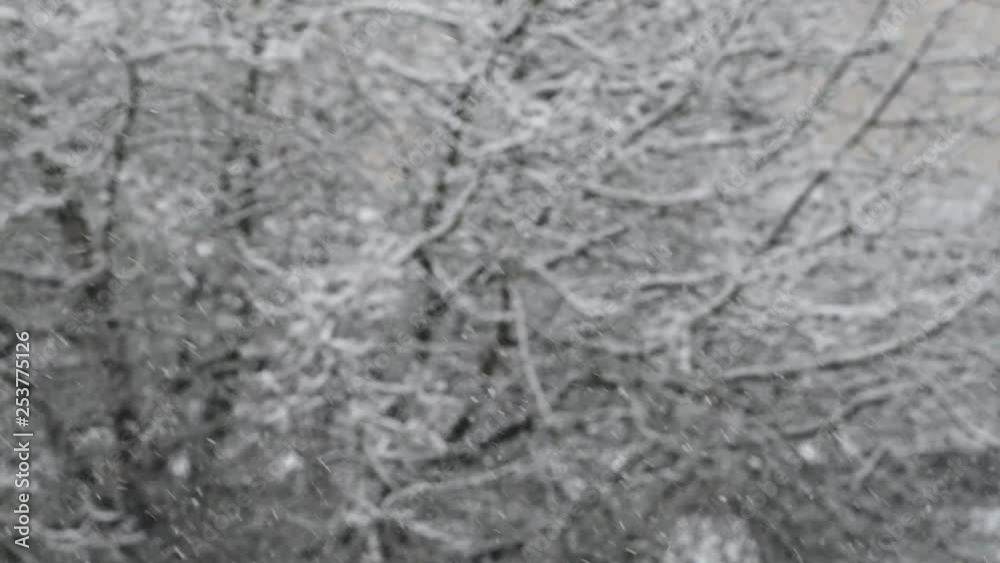Falling snow. Blurred winter background Falling snow. Blurred winter background