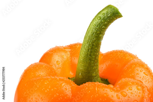 Orange bell pepper with drops water isolated on white background.