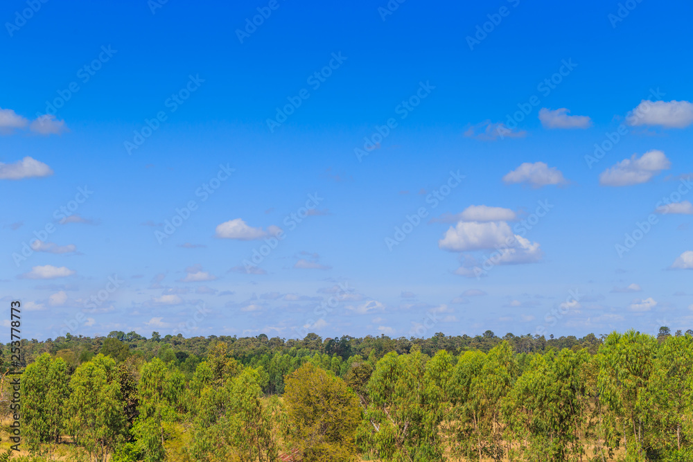 Blue sky background and white clouds in sunny day over the green forest