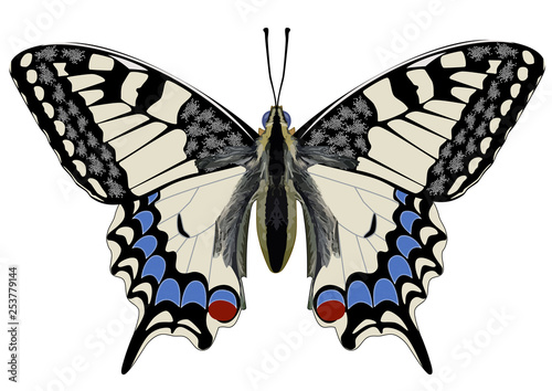 Schmetterling