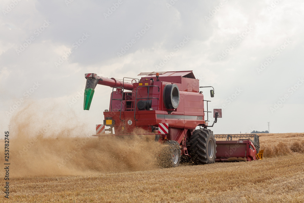 Fototapeta premium Agriculture - Moisson d'un champ de céréales