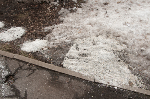 Deicing chemicals near asphalt road