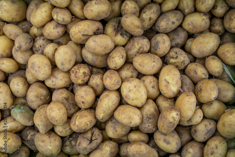 pile of potatoes pile of potatoes