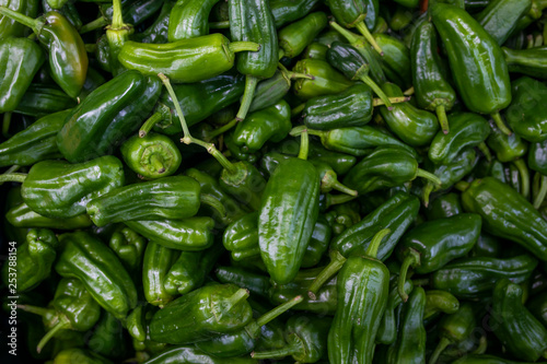 green peppers on display at the market
