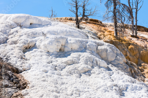 Mammoth Hot Springs, Yellowstone National Park