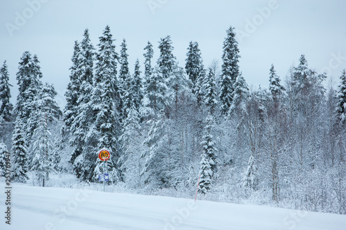 Winter snowy road in forest