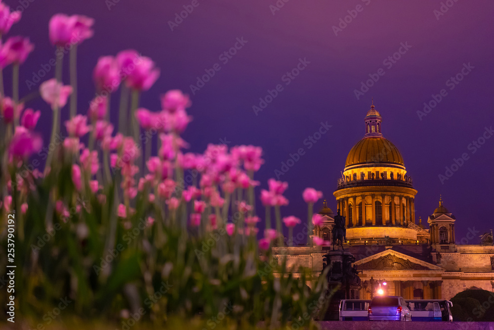 St. Petersburg. Russia. St. Isaac's Square in the evening. St. Isaac's Cathedral through the flowers. Spring Petersburg. St. Isaac's Cathedral with flowers. Museums of St. Petersburg. Russian cities.