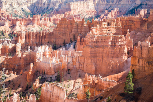 Beautiful rock formations in Bryce Canyon National park. Travel and adventure concept.