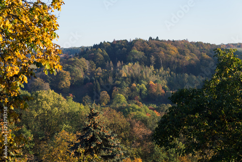 Countryside hills forest trees landscape view in autumn