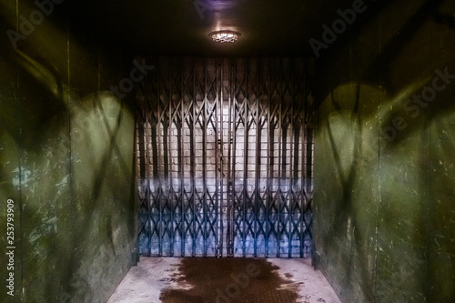 Wrought iron grille on the ...