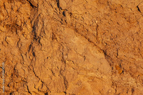 bright orange surface of the soil with sand  background  texture