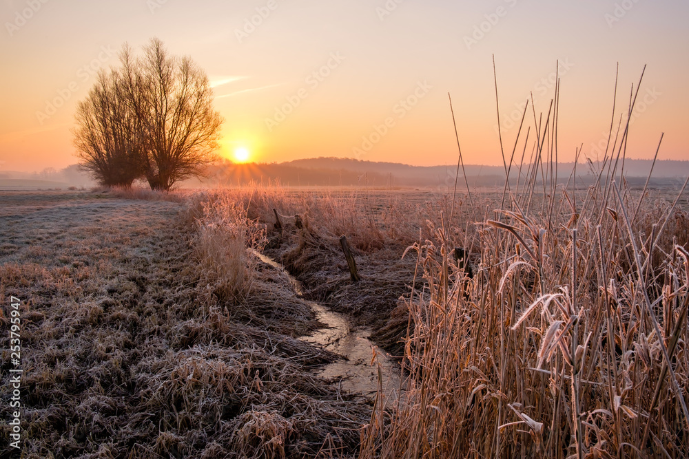 Fototapeta premium Sonnenaufgang mit Frost im Winter auf einem Feld in Ostholstein