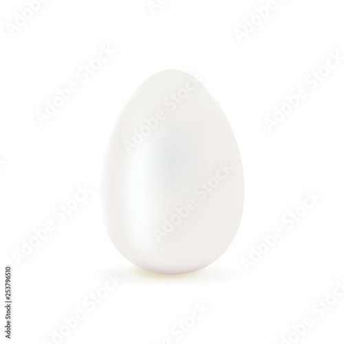 White Chicken Egg Isolated 3D Vector Illustration