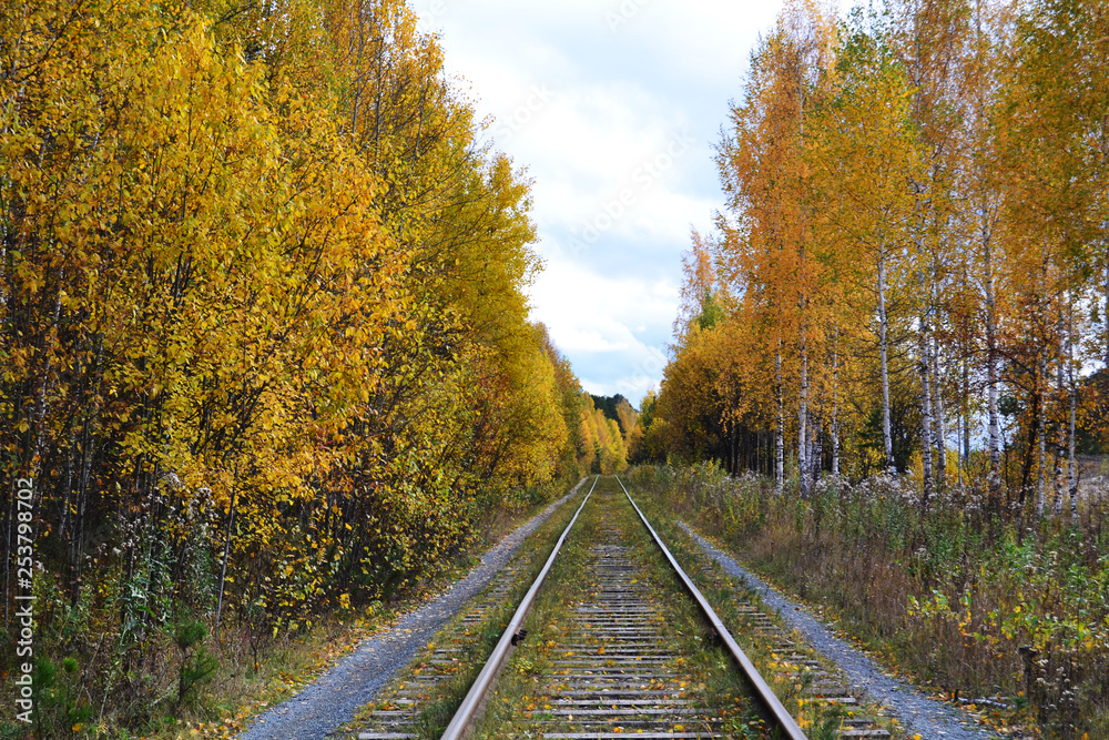 railway in the autumn forest stretching into the distance