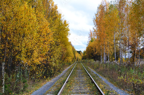 railway in the autumn forest stretching into the distance