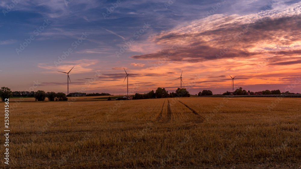 Belgian Landscape early morning Belgian Landscape early morning