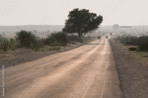 Road passing through field, Damodara, Thar Desert, Rajasthan