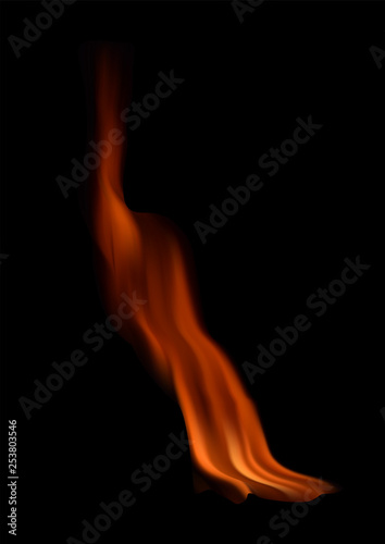 Beautiful vector fire flames on a black background.