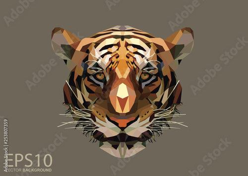 Low polygon tiger head pattern background. Illustration EPS 10.