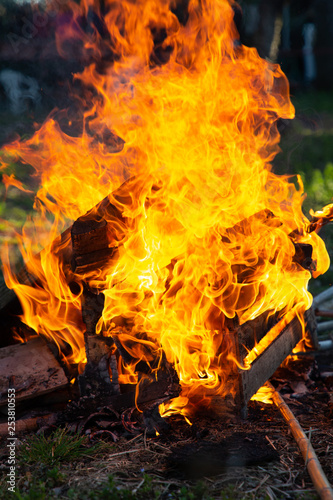 Legna che brucia e fiamme in primo piano photo