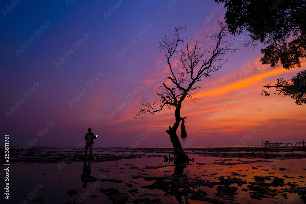 Landscape of silhouette man holding cell phone and try to communicate, connect or contact while the sunset or sun rise and beautiful sky with leafless tree 