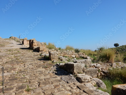 ソルント考古学公園 シチリア