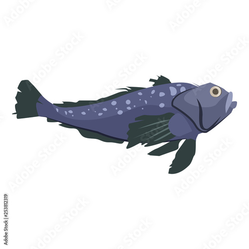 North-Atlantic spotter wolfish. Large marine leopardfish. Can be used for topics like fishing, bottom dwelling fish, animal