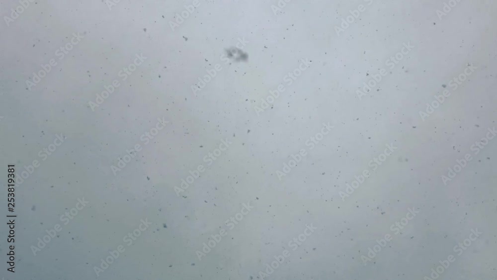 Snow falling down, looking up view point. Bottom up vertical perspective. Heavy snow, large flakes. 60fps to 24fps slow motion.