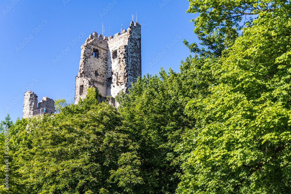 Ruine Burg Drachenfels mit Bäumen im Sommer