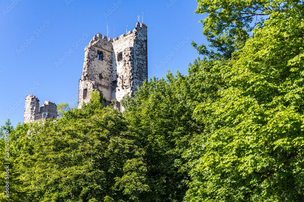Ruine Burg Drachenfels mit Bäumen im Sommer Ruine Burg Drachenfels mit Bäumen im Sommer