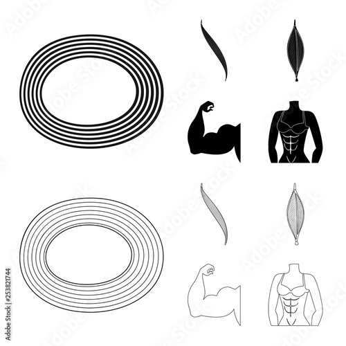 Vector design of fiber and muscular icon. Set of fiber and body  stock vector illustration.