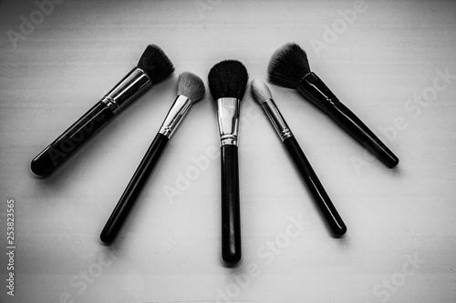 a set of professional makeup brushes