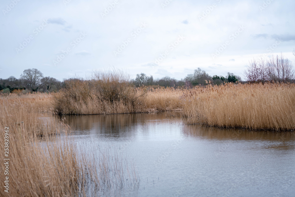 landscape with lake and blue sky landscape with lake and blue sky