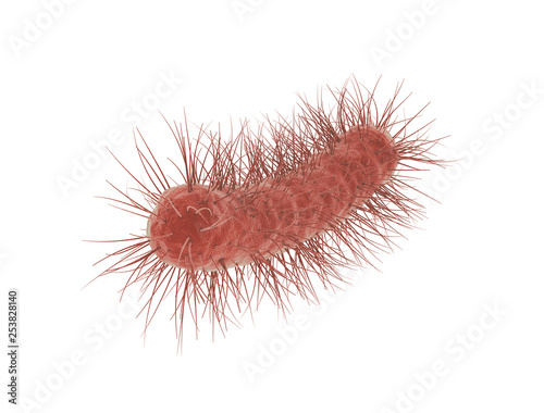 Fényképezés E coli Bacteria cell isolated on white background